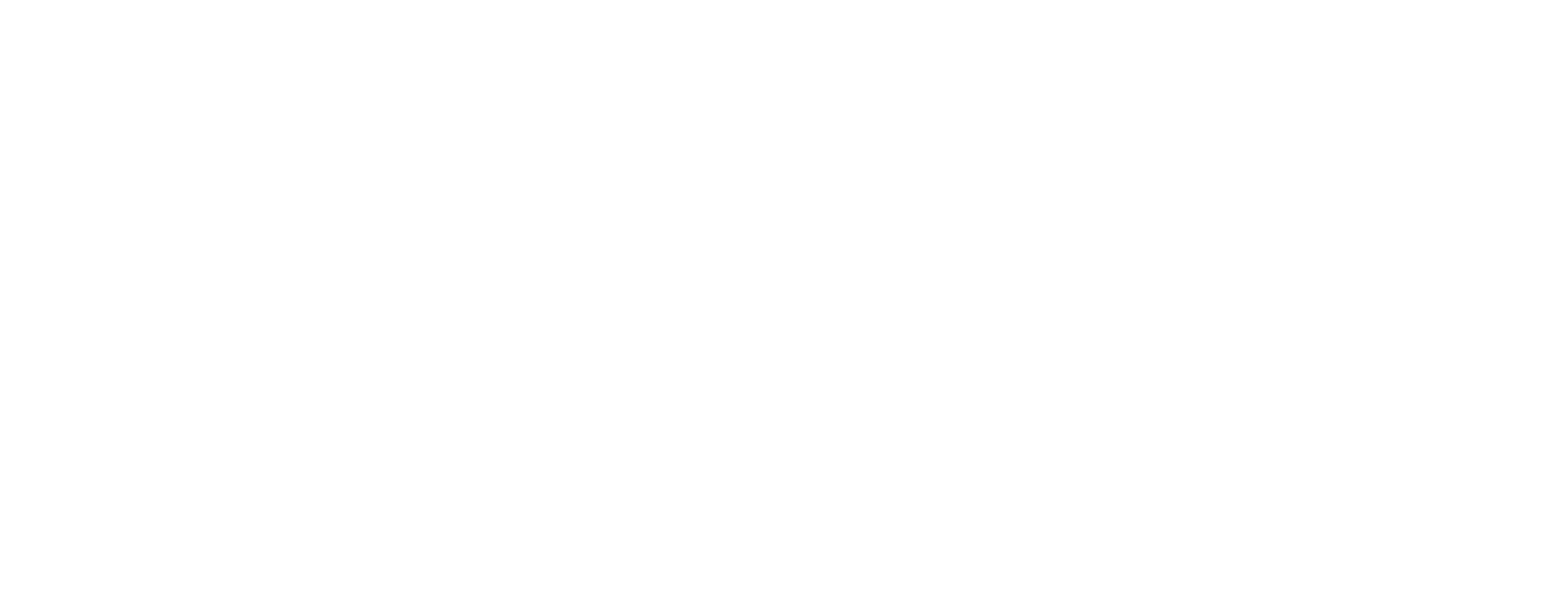 Primo Logo